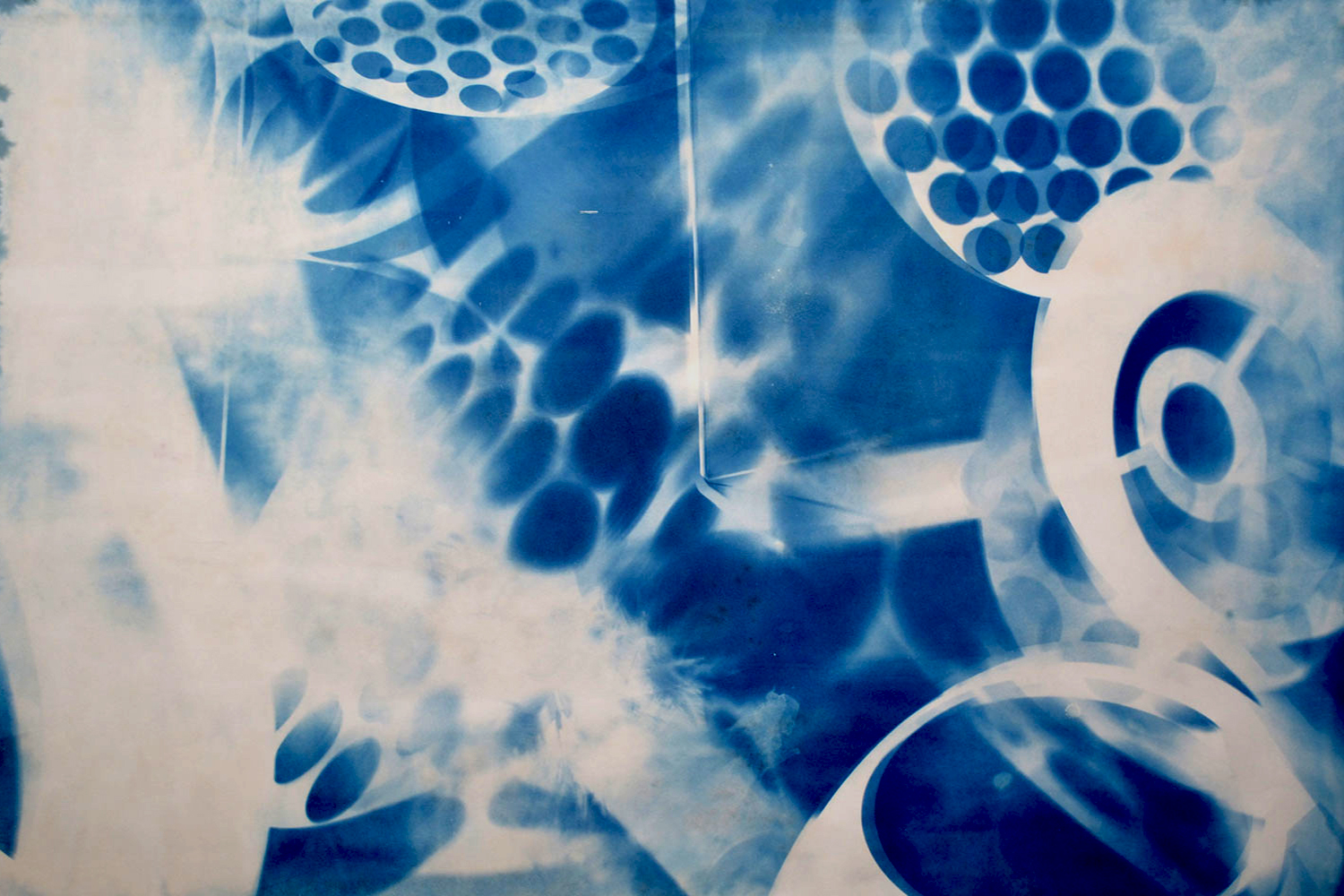Cyanotype Monographs